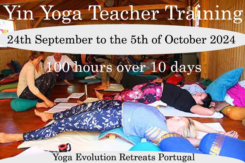 yin yoga training courses