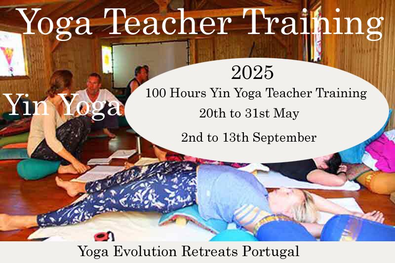 100 hours yin yoga teacher training course