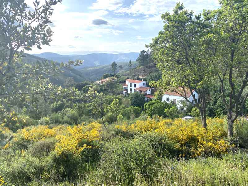 yoga retreat portugal 2026 yoga retreat portugal 2026
