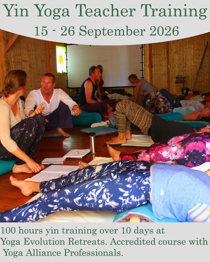 yin yoga teacher training 2026 yin yoga teacher training 2026